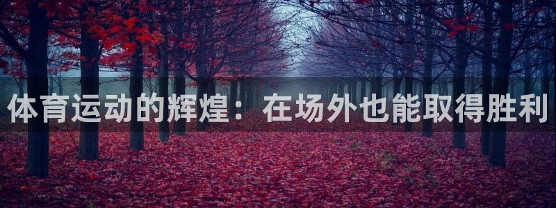 星速体育安卓版下载：体育运动的辉煌：在场外也能取得胜利