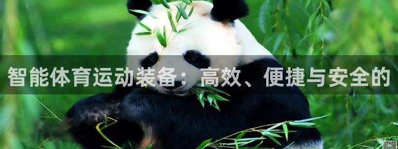星速体育ios：智能体育运动装备：高效、便捷与安全的