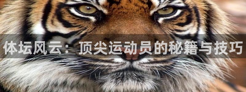 星速体育app下载官网：体坛风云：顶尖运动员的秘籍与技巧
