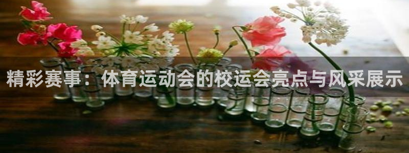 星速体育直播app：精彩赛事：体育运动会的校运会亮点与风采展示