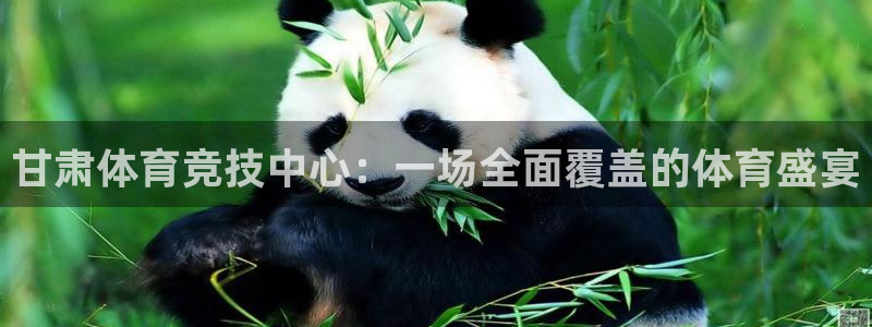 星速体育官网下载最新版本更新内容：甘肃体育竞技中心：一场全面覆盖的体育盛宴