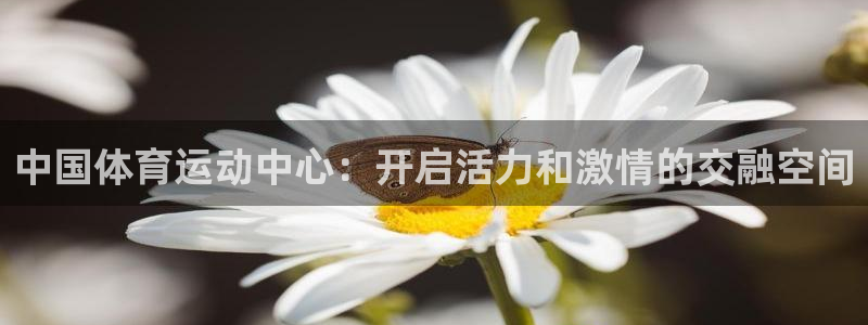 星速体育篮球直播：中国体育运动中心：开启活力和激情的交融空间